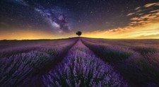 Landscape photography nature lavender field flowers Custom Gaming Mat Desk picture