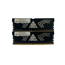 Neo Forza FAYE 16 GB (2 x 8 GB) DDR4-3200 CL16 Memory picture