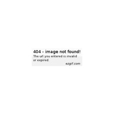 Honeywell - PM45A10000030200 - Honeywell, Pm45a, Thermal Transfer, 203 Dpi, picture