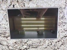 AU Optronics 15.4