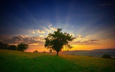 Landscape trees nature sunset sunlight field summer Custom Gaming Mat Desk picture