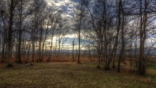Landscape fall nature outdoors trees Custom Gaming Mat Desk picture