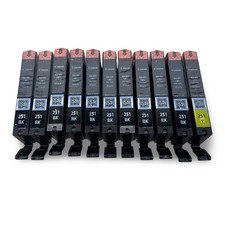 Canon 251 CLI-251 Ink Tank Lot 10 Black 1 Yellow Genuine OEM Factory Sealed 11pk picture