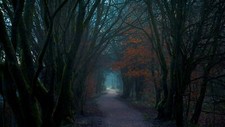 Landscape nature dark forest trees fall path walkway Custom Gaming Mat Desk picture