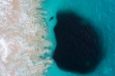 Landscape photography aerial view nature sea shark waves Custom Gaming Mat Desk picture