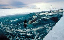 Landscape sea ice antarctica nature orca Custom Gaming Mat Desk picture