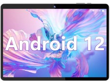SGIN 10.1