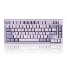 MageGee SKY81 75% Wireless Mechanical Keyboard Hot Swappable RGB Violet Switch picture
