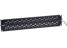 Black Box Category 6A Feed Through Panel Shielded - 48 Port picture