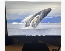 KOORUI 22N1 21.5 Inch Monitor Black MB21V13F9 VGA D-Sub HDMI New In Box picture