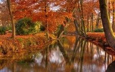 Landscape nature park shrubs trees leaves canal Custom Gaming Mat Desk picture