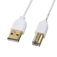 Sanwa Supply Ultra Thin USB Cable (USB2.0 A-BTypewhite0.5m) KU20-SL05WK picture