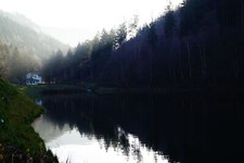 Landscape forest lake mist sun nature outdoors Custom Gaming Mat Desk picture