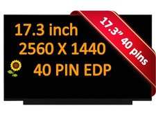 MNH301CA3-1 240hz Display for Asus 18010-17370000 17.3