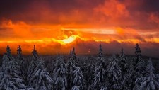 Landscape forest snow nature sunlight sky trees cold Custom Gaming Mat Desk picture