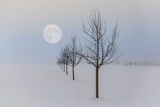 Landscape winter moon nature seasons Custom Gaming Mat Desk picture