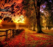 Landscape nature fall sunset Custom Gaming Mat Desk picture