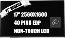 B170QAN01.2 17.0