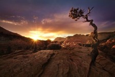 Landscape nature fall sunset desert trees zion national Custom Gaming Mat Desk picture