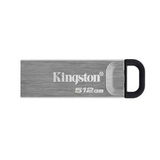 Kingston Data Traveler picture