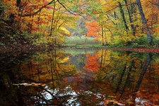 Landscape river fall reflection pond nature trees water Custom Gaming Mat Desk picture