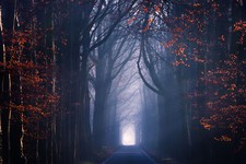 Landscape seasons road trees fall Custom Gaming Mat Desk picture