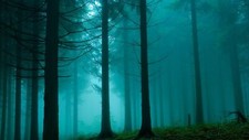 Landscape trees forest dark nature teal turquoise Custom Gaming Mat Desk picture