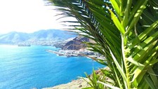 Landscape madeira palm trees sea city coast mountains Custom Gaming Mat Desk picture