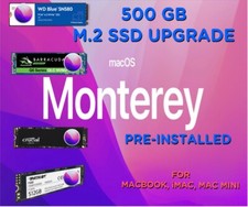 500GB M.2 SSD with macOS Monterey 12 Pre-Installed for MacBook, iMac, Mac Mini picture