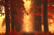Landscape mist path trees fall grass red shrubs leaves Custom Gaming Mat Desk picture