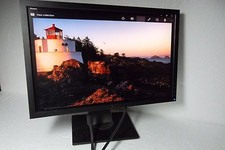 Dell Professional P2210H P2210f P2210Hc 22